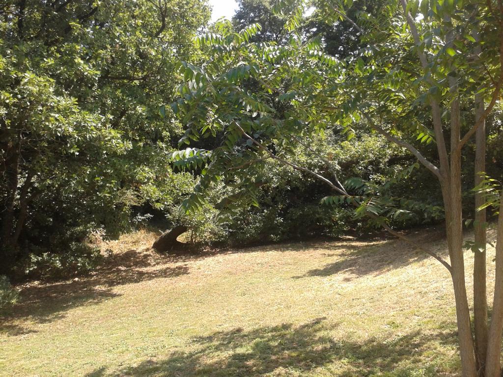 Entre Nimes Et Arles Villa Bellegarde  Eksteriør billede